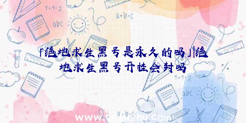 「绝地求生黑号是永久的吗」|绝地求生黑号开挂会封吗
